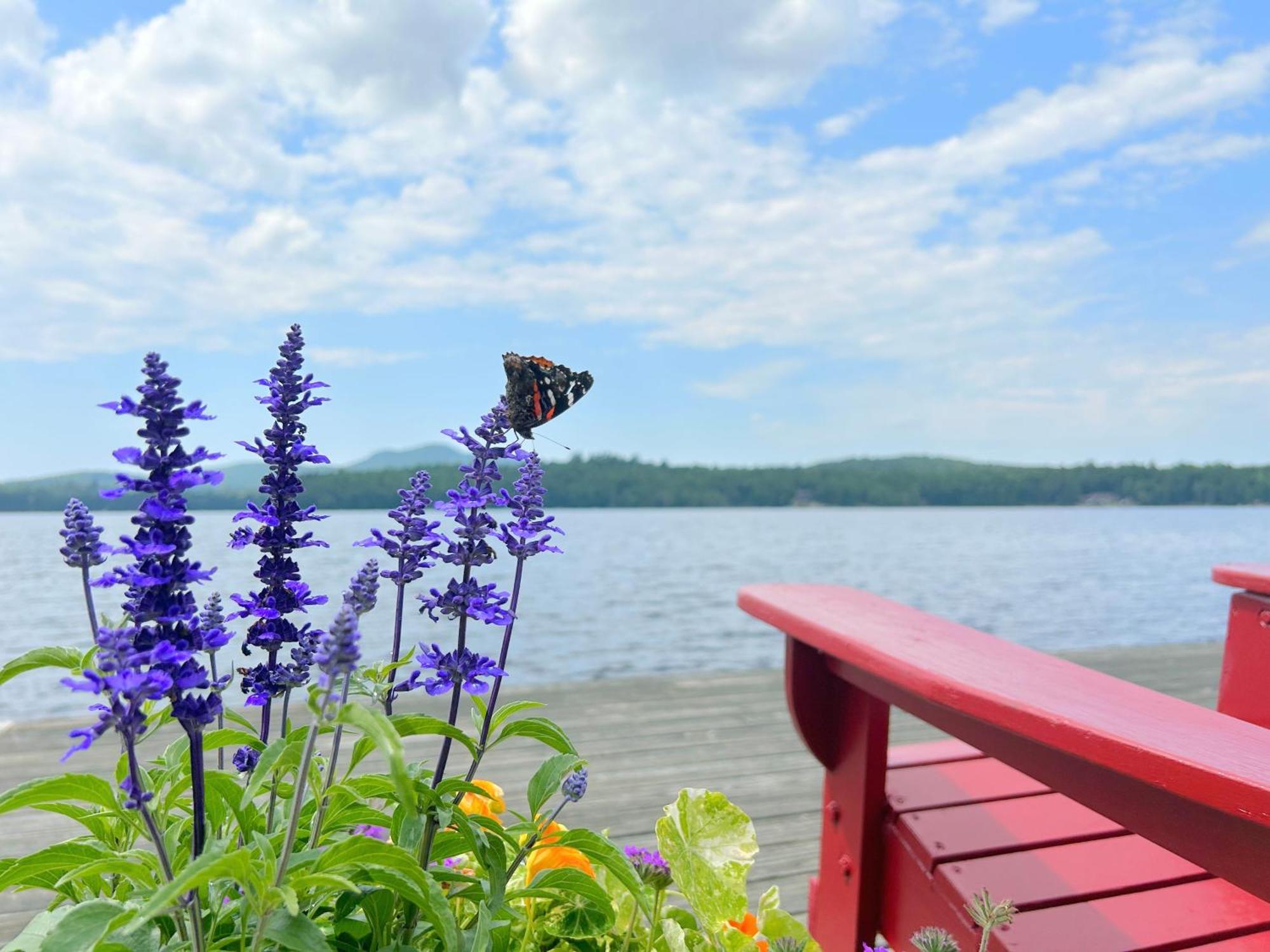 Paddler'S Rest Lakeside Cabins And Motel Long Lake Esterno foto